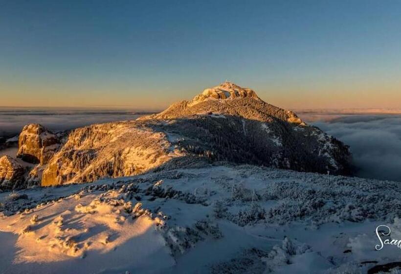 پانسیون Casa Luca