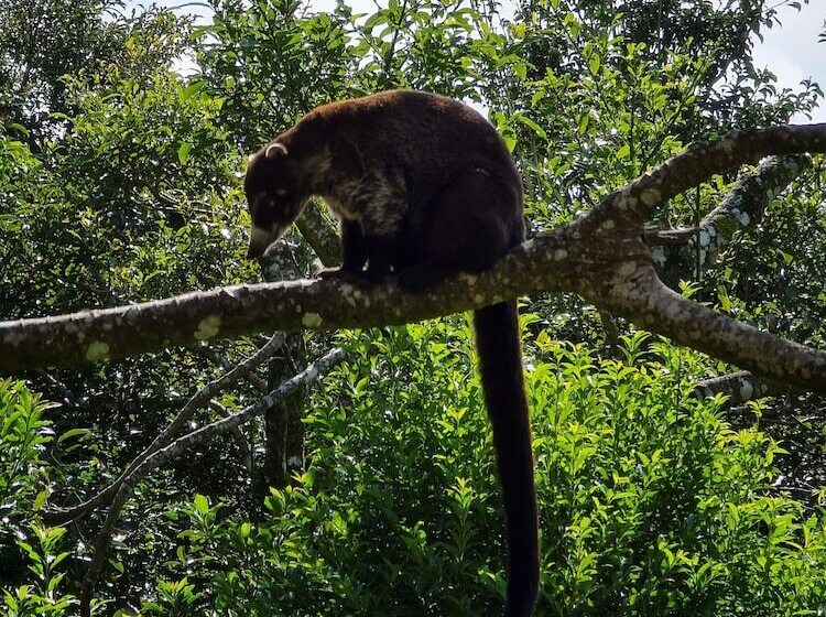 بنسيون Hostel Santafe