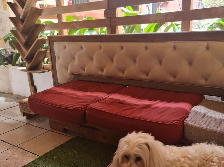 بنسيون Hostel Santafe