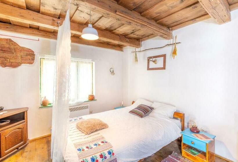 Pensão Saschiz 130/lodging And Glamping