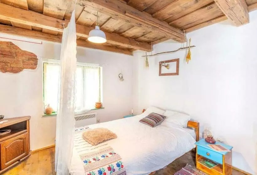 Majatalo Saschiz 130/lodging And Glamping