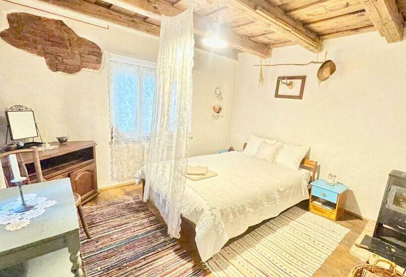 Pensão Saschiz 130/lodging And Glamping