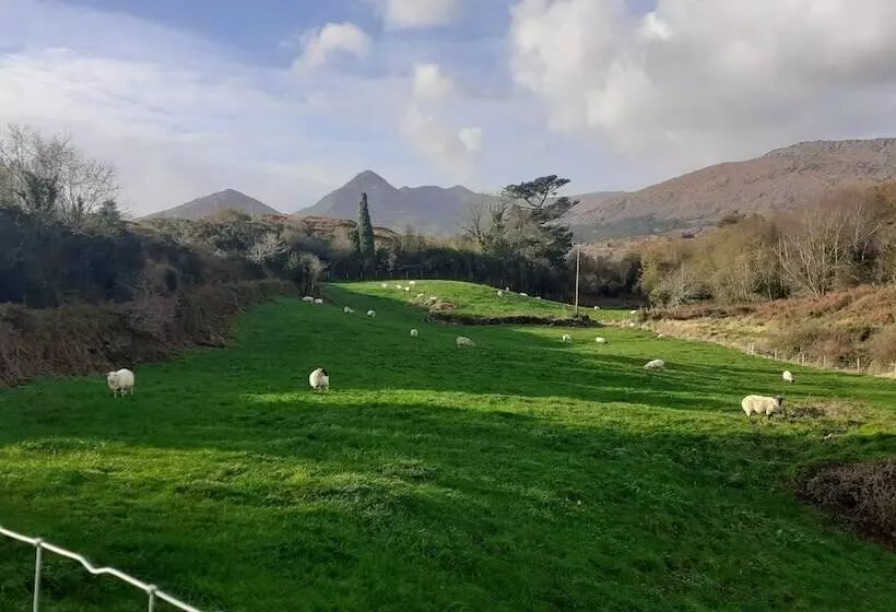 Cuckoo Tree House Glengarriff Beara Peninsula