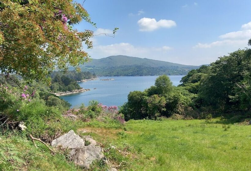 Cuckoo Tree House Glengarriff Beara Peninsula