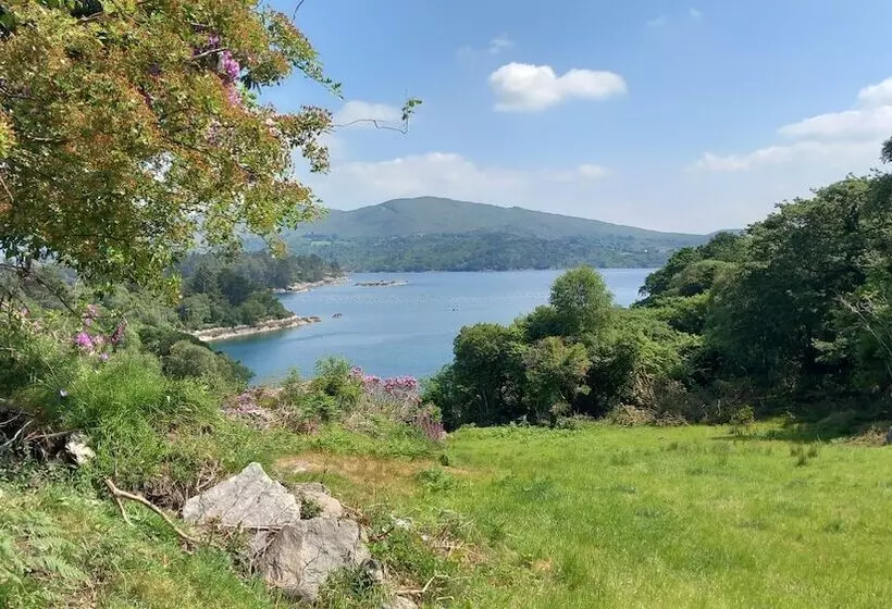 Cuckoo Tree House Glengarriff Beara Peninsula