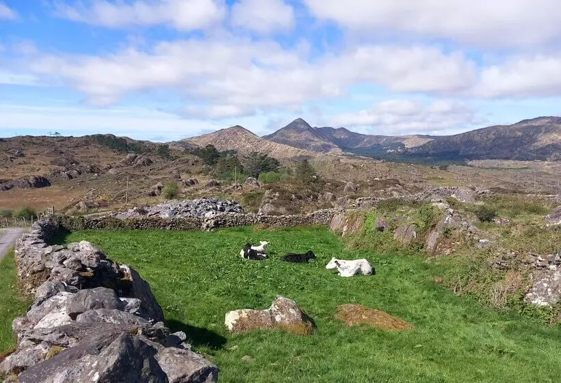 Cuckoo Tree House Glengarriff Beara Peninsula