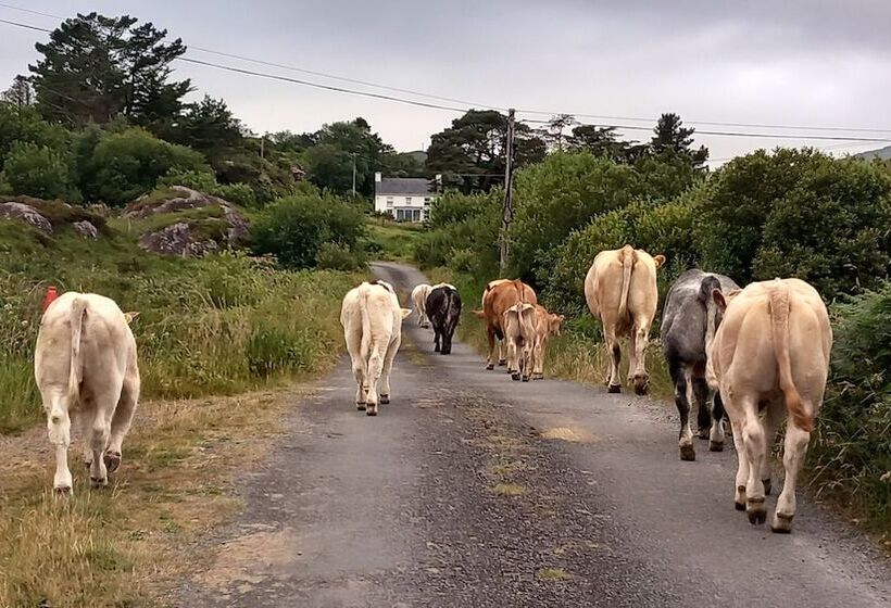 Cuckoo Tree House Glengarriff Beara Peninsula
