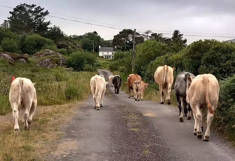 Cuckoo Tree House Glengarriff Beara Peninsula