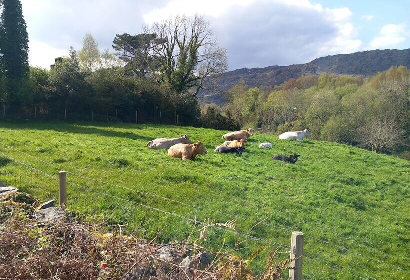 Cuckoo Tree House Glengarriff Beara Peninsula