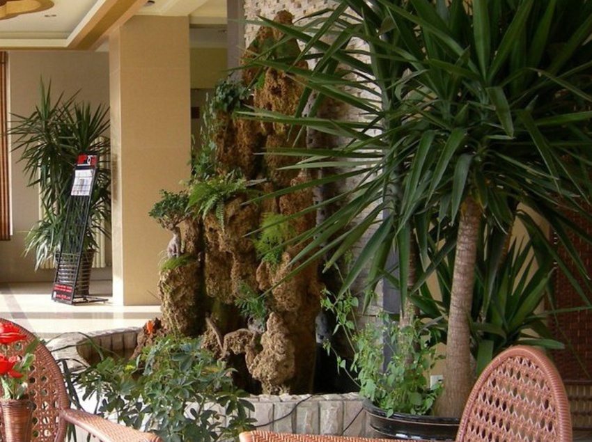 Отель Hky Business