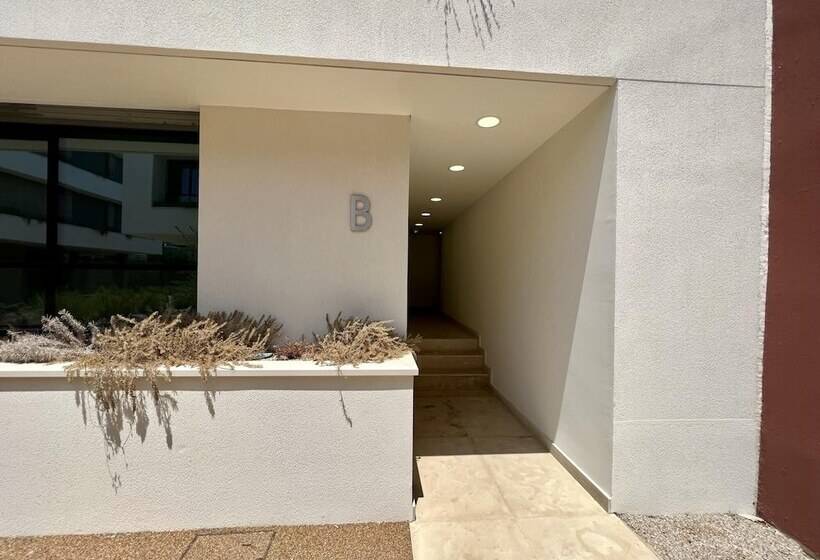 Faro Design 7 By Homing