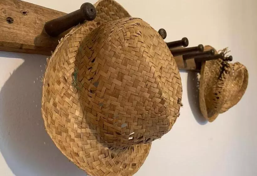 Aamiaismajoitus (B&B) Scholabnb “ Percorso Esperenziale Di Vita Rurale Sostenibile”