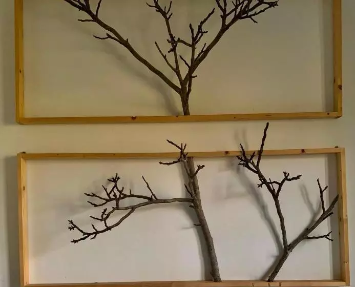 Aamiaismajoitus (B&B) Scholabnb “ Percorso Esperenziale Di Vita Rurale Sostenibile”