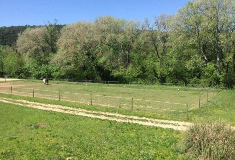 Отель Studio églantine