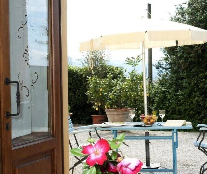 Il Bellini Apartment Cantina