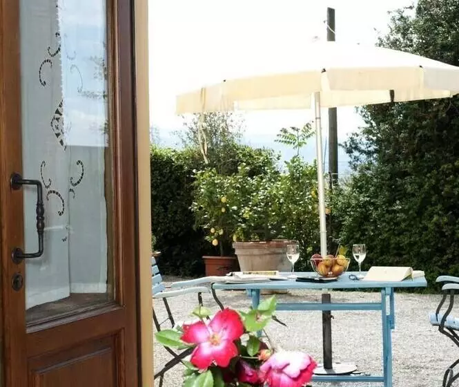 Il Bellini Apartment Cantina