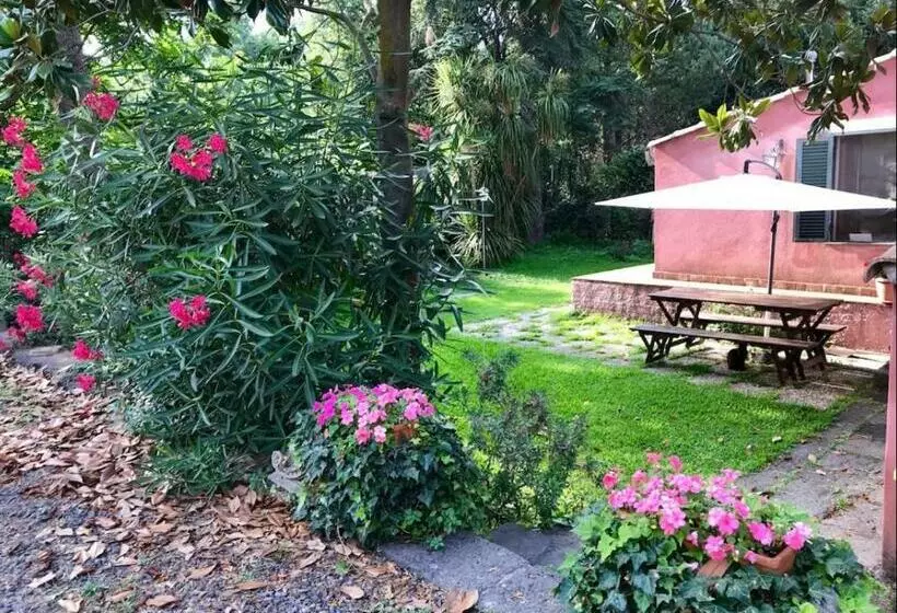 پانسیون La Casa Tra Gli Agrumi