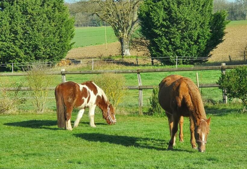 ベッドアンドブレックファースト Chambres D Hôtes De La Vallée