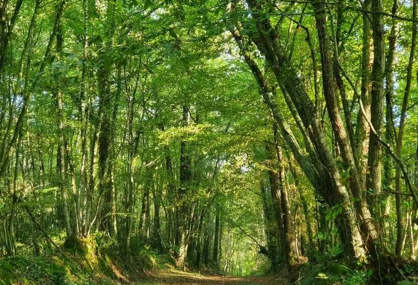 Aamiaismajoitus (B&B) Chambres D Hôtes De La Vallée