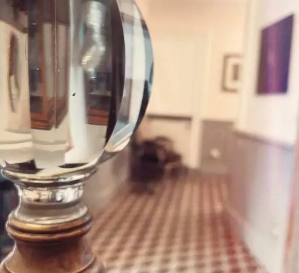 Aamiaismajoitus (B&B) L Oiseau Bleu Peacock