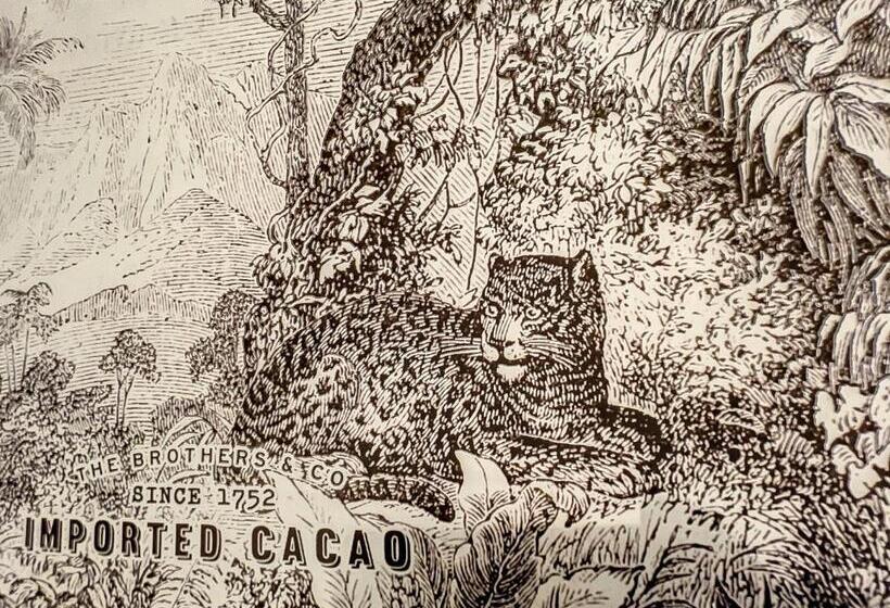 Bed and Breakfast L Oiseau Bleu Peacock