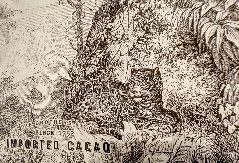 Aamiaismajoitus (B&B) L Oiseau Bleu Peacock