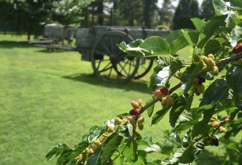 호텔 Casale Al Foino