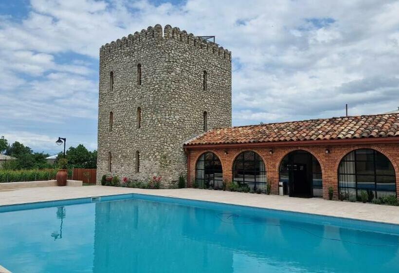 هتل Giorgi Ushikishvilis Chateau Marani