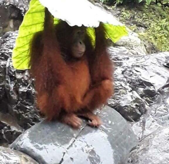 פנסיון Asim Paris Guest House