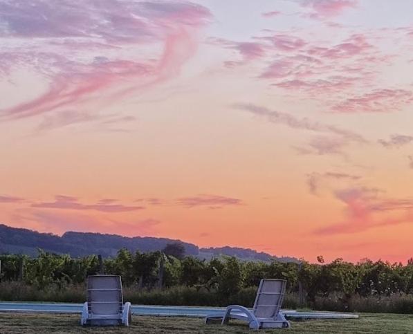 膳宿费 Clair De Vigne