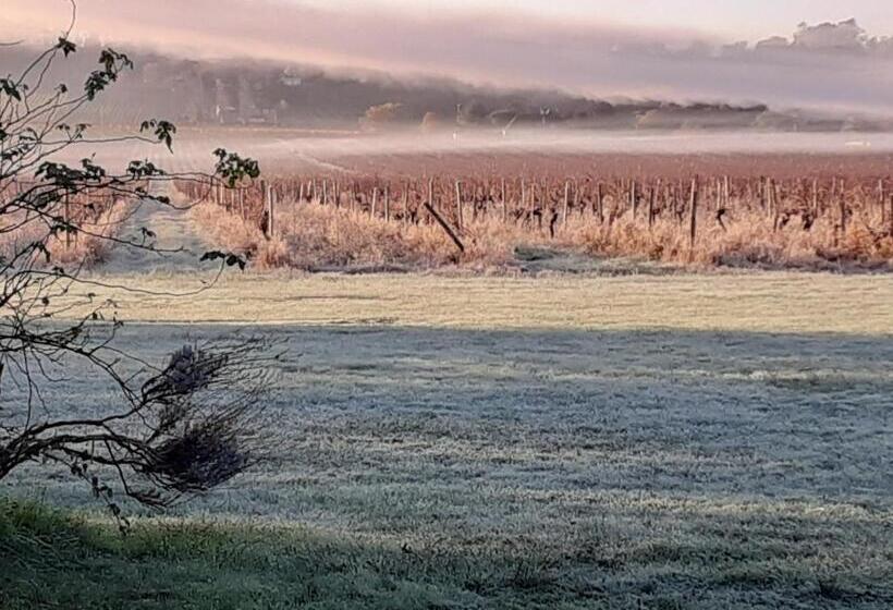 膳宿费 Clair De Vigne