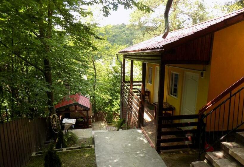 پانسیون Hegyi Lak Vendégház