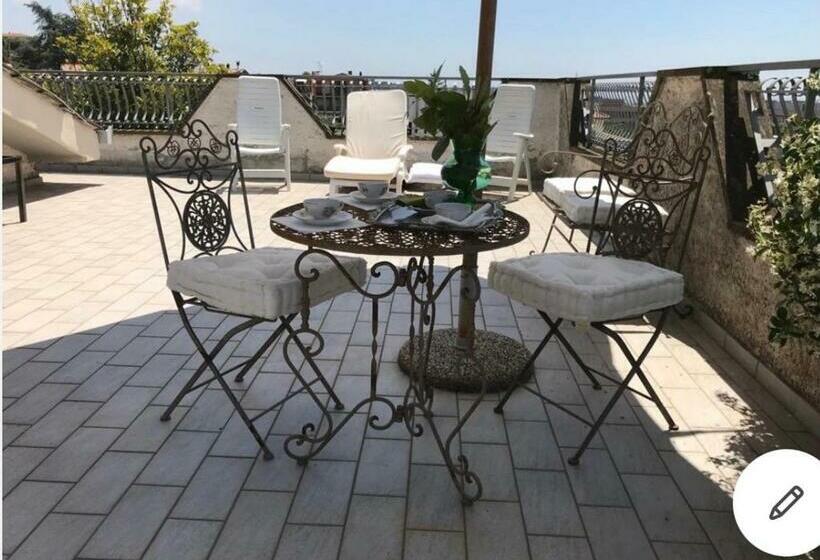 膳宿费 Villa Maximo