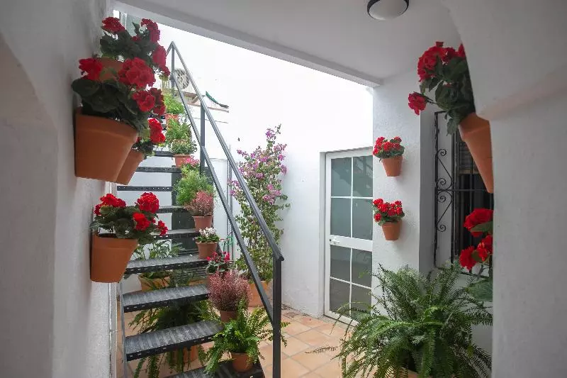 پانسیون Vitium Córdoba