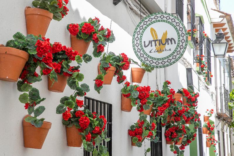پانسیون Vitium Córdoba