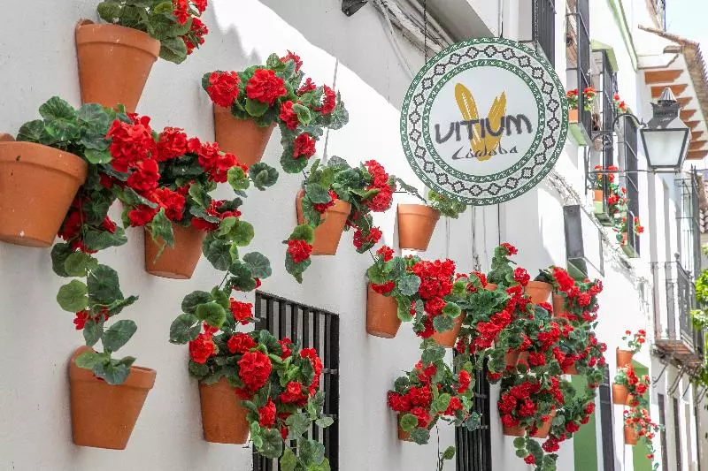 پانسیون Vitium Córdoba