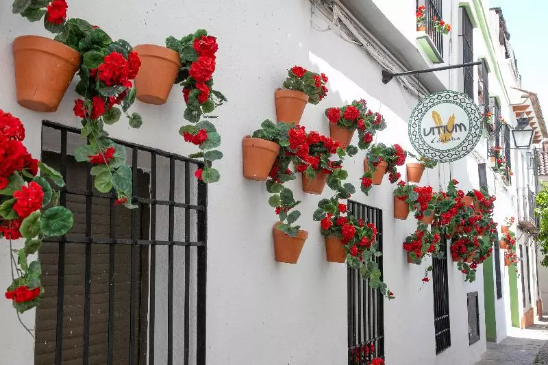 پانسیون Vitium Córdoba