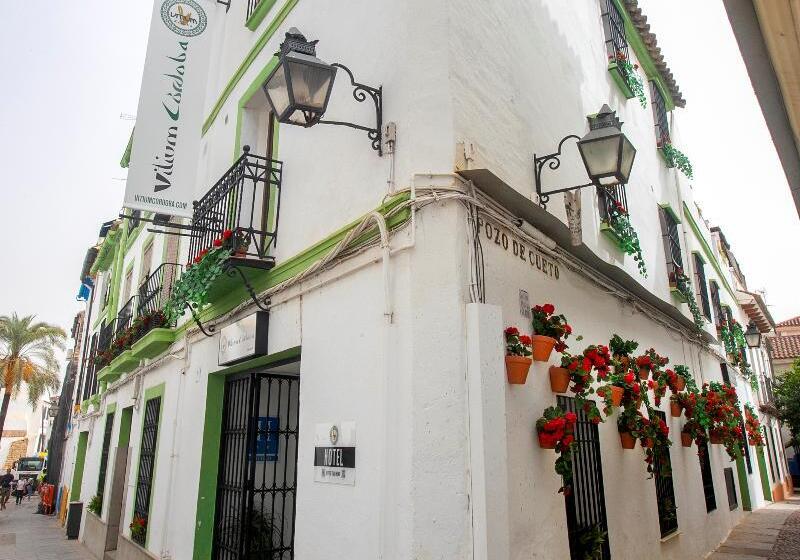 پانسیون Vitium Córdoba