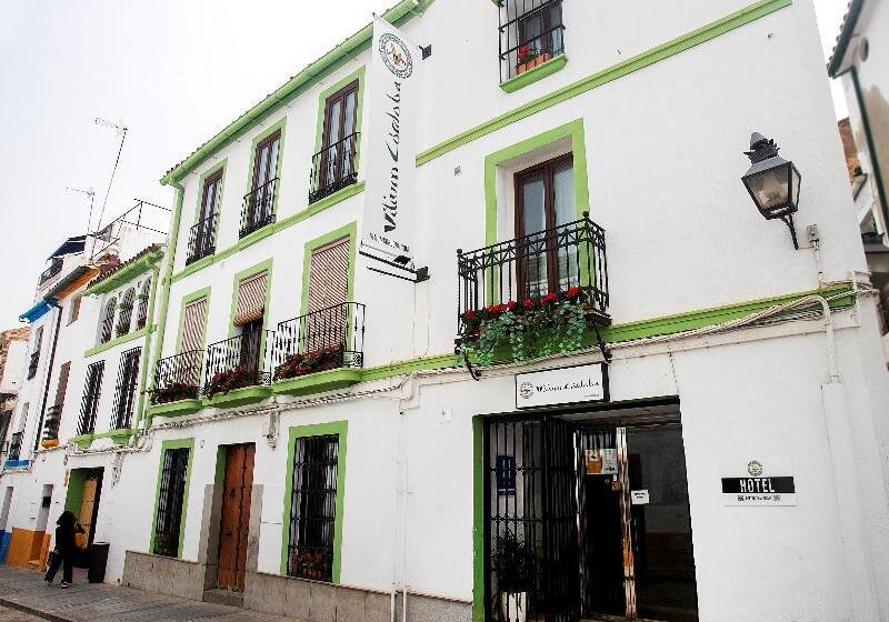 پانسیون Vitium Córdoba