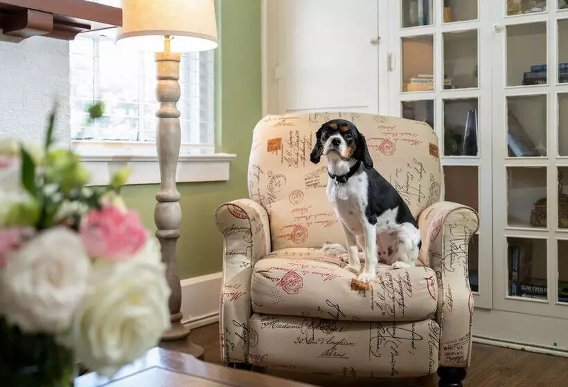 Aamiaismajoitus (B&B) Magnolia Manor And Chapel