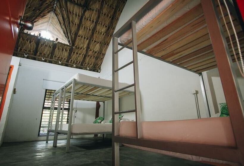 Hotel Makenke Hostel By Los Colores Ecoparque