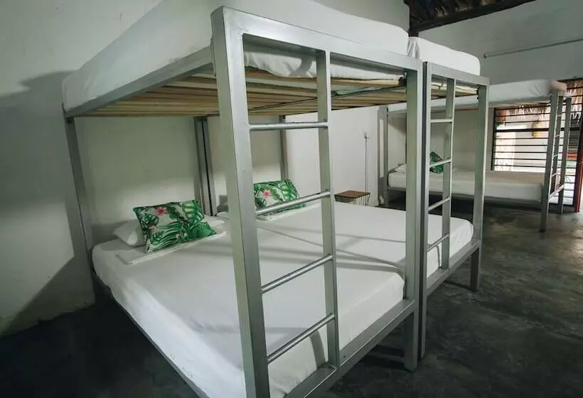 Hotelli Makenke Hostel By Los Colores Ecoparque