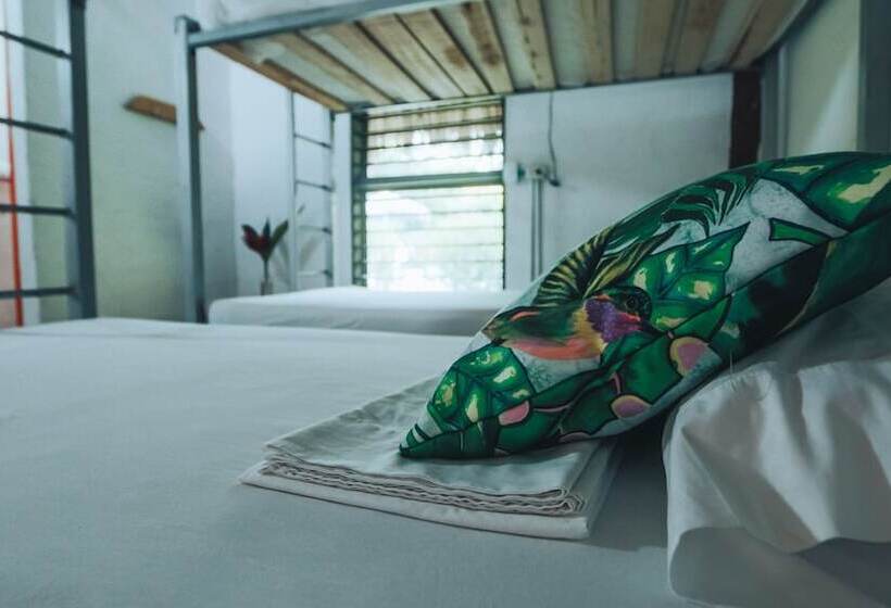 Hotel Makenke Hostel By Los Colores Ecoparque