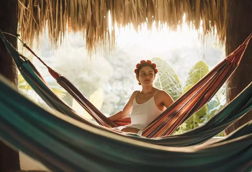 Hotelli Makenke Hostel By Los Colores Ecoparque