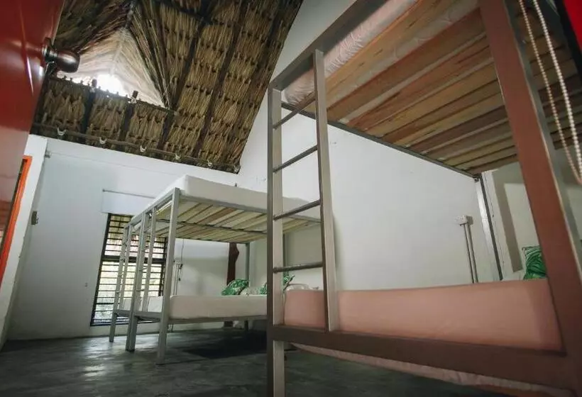 Hotelli Makenke Hostel By Los Colores Ecoparque