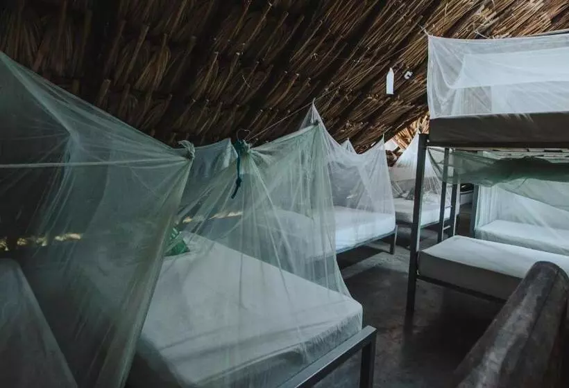 Hotelli Makenke Hostel By Los Colores Ecoparque