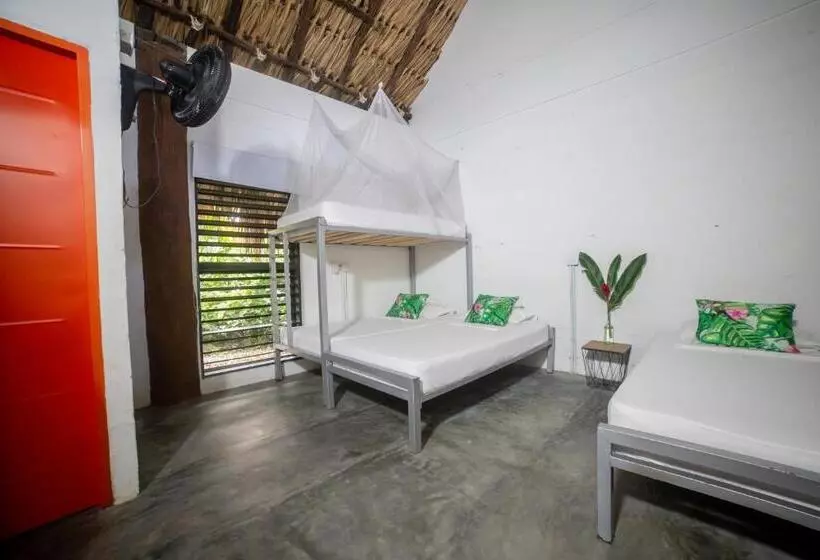 Hotelli Makenke Hostel By Los Colores Ecoparque
