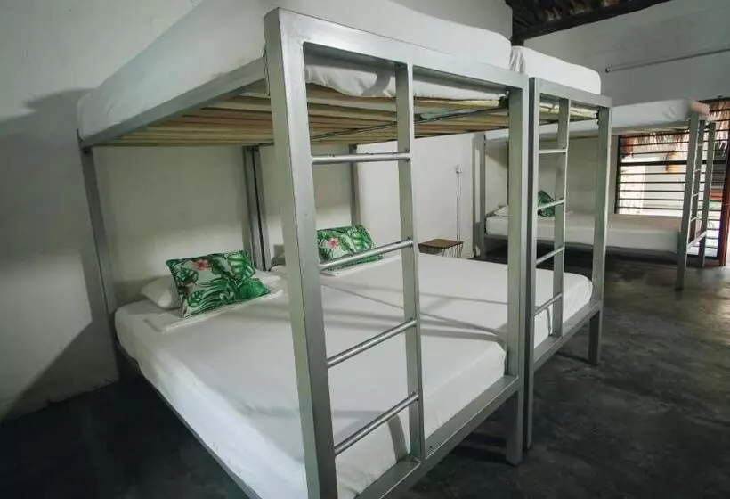 Hotelli Makenke Hostel By Los Colores Ecoparque