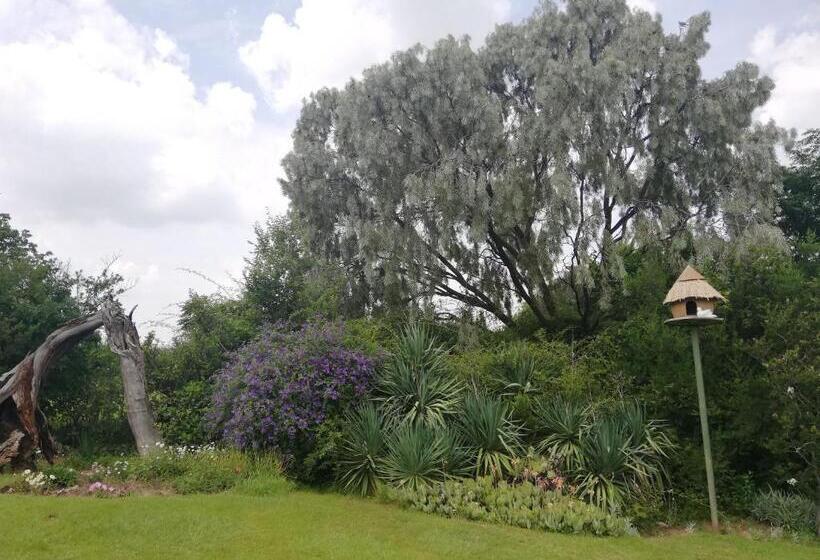 بنسيون Ben Nevis Guest House