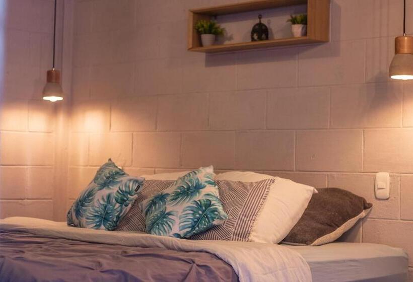 הוסטל La Canasta